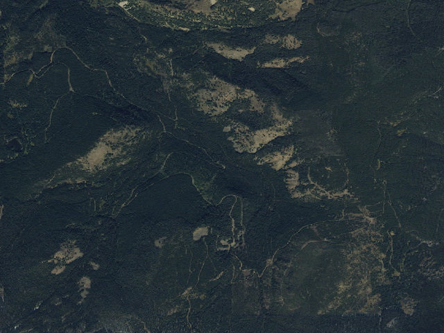 Aerial image of Forest Rd 980