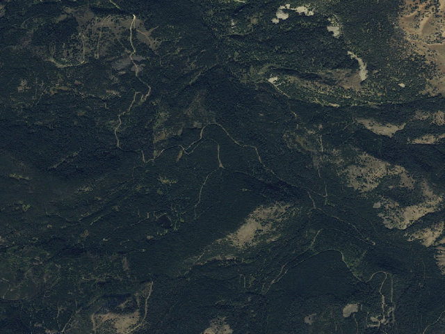 Aerial image of Forest Rd 980