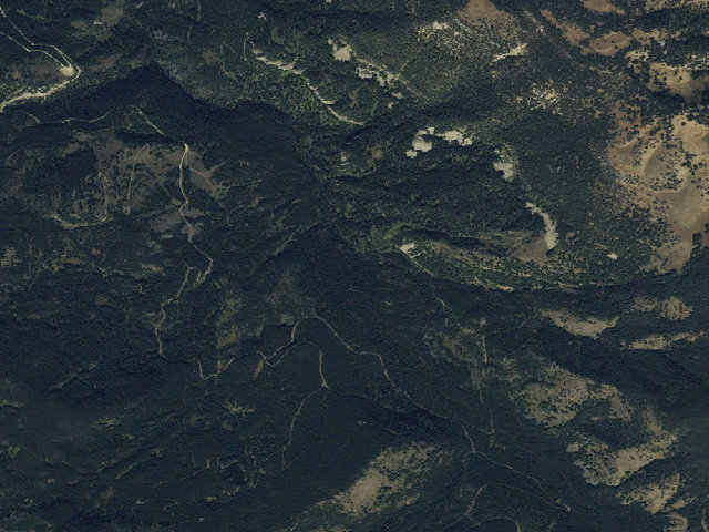 Aerial image of Forest Rd 980