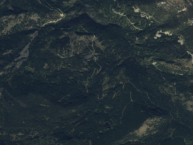 Aerial image of Forest Rd 980