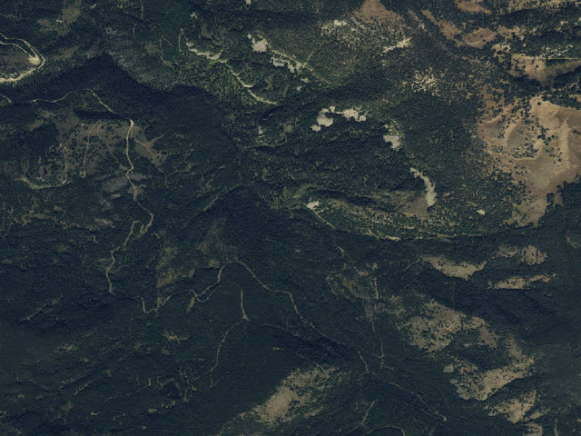 Aerial image of Forest Rd 980