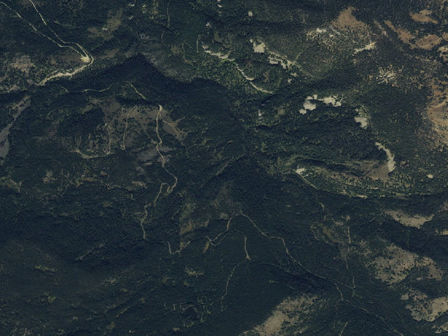 Aerial image of Forest Rd 980