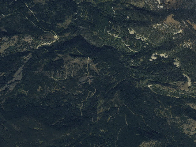 Aerial image of Forest Rd 980