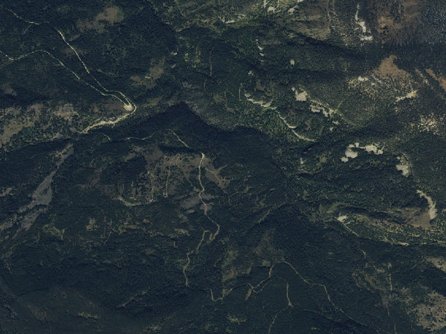 Aerial image of Forest Rd 980
