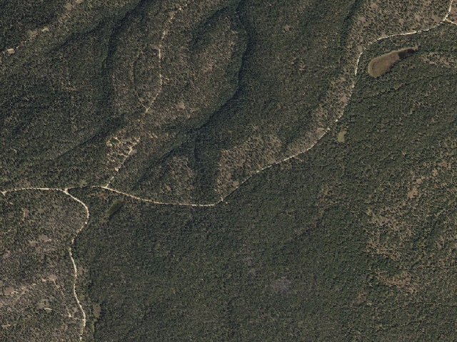 Aerial image of Forest Road 169 Camping Area