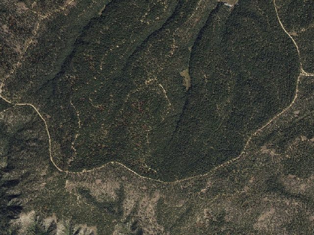 Aerial image of Forest Road 84 Camping Area