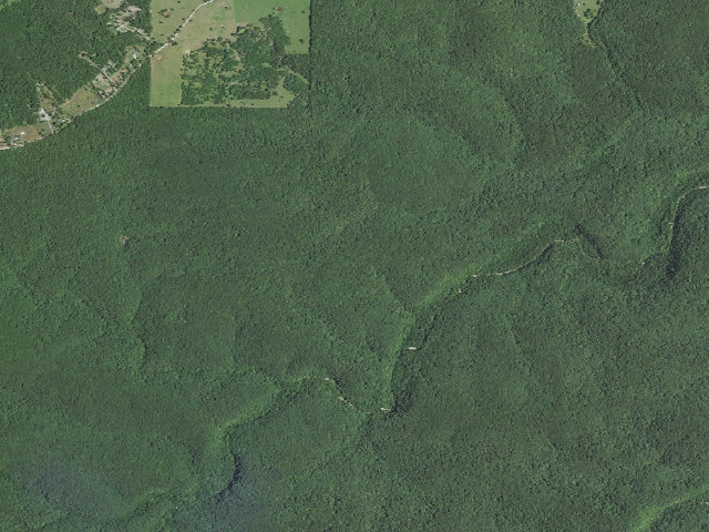 Aerial image of Forest Service