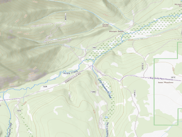 USGS topographic map of Fork