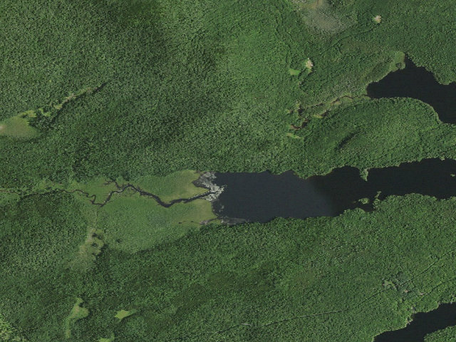 Aerial image of Forked Lake West-End Campsite (far west side) [DEC #12700] (Sargent Ponds Wild Forest)