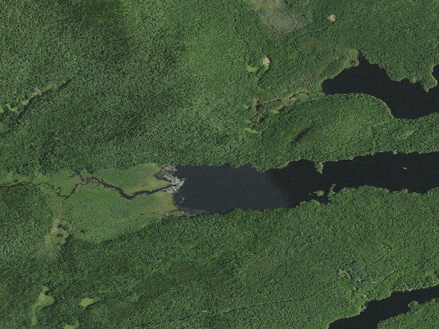 Aerial image of Forked Lake West-End Campsite (north shore) [DEC #12701] (Sargent Ponds Wild Forest)