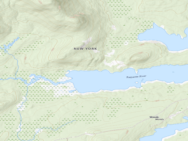 USGS topographic map of Forked Lake West-End Campsite (north shore) [DEC #12701] (Sargent Ponds Wild Forest)