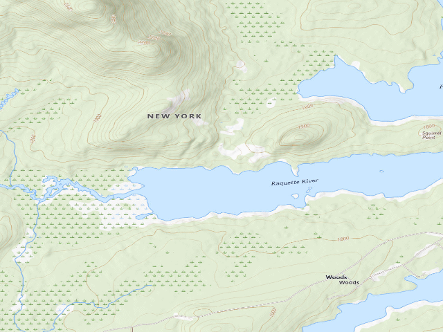 USGS topographic map of Forked Lake West-End Campsite (on the north shore) [DEC #12703] (Sargent Ponds Wild Forest)
