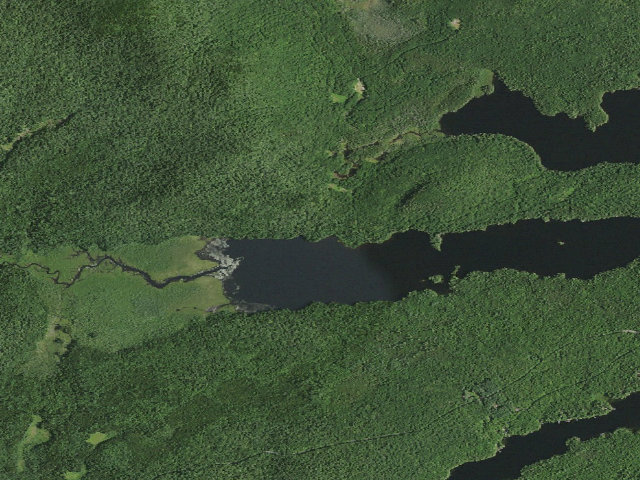 Aerial image of Forked Lake West-End Campsite (with a beach) [DEC #12702] (Sargent Ponds Wild Forest)