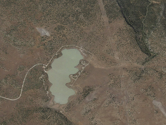 Aerial image of Forked Pine