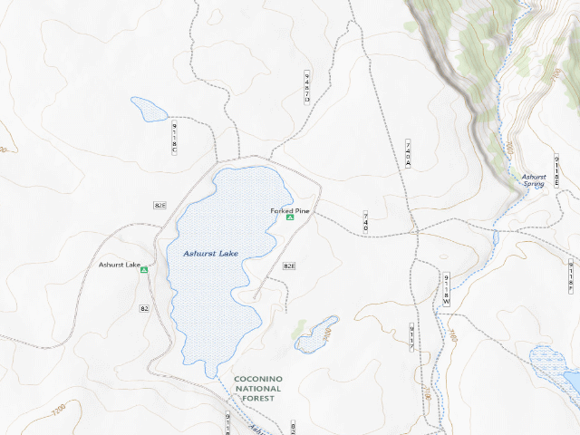 USGS topographic map of Forked Pine