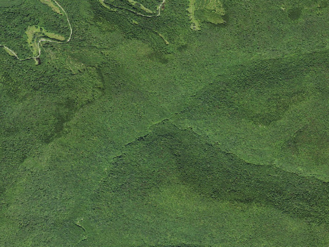 Aerial image of Forks Shelter