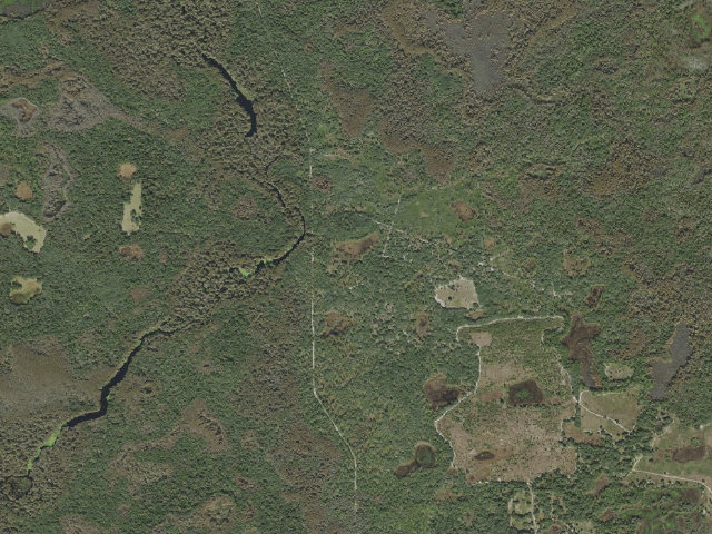 Aerial image of Foster Bridge (Green Swamp Wilderness Preserve - West Tract)