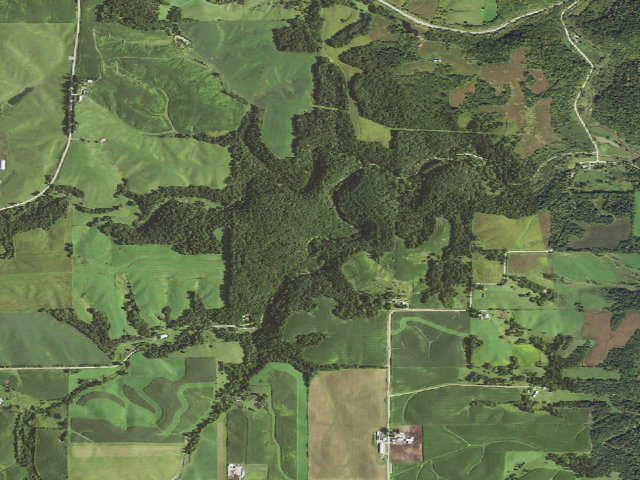 Aerial image of Fountain Springs Park (Holbert Area)