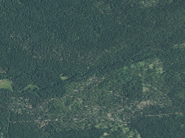 Aerial image of Fourbit Ford Campground