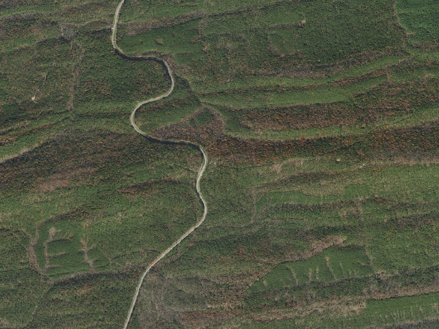Aerial image of Fourche Mountain Recreation Area (Ouachita National Forest)