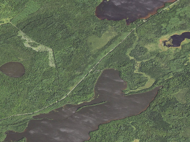 Aerial image of Fourmile Lake Campground