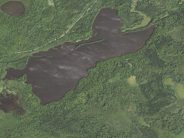 Aerial image of Fourmile Lake Site 1