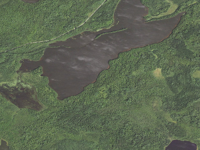 Aerial image of Fourmile Lake Site 2