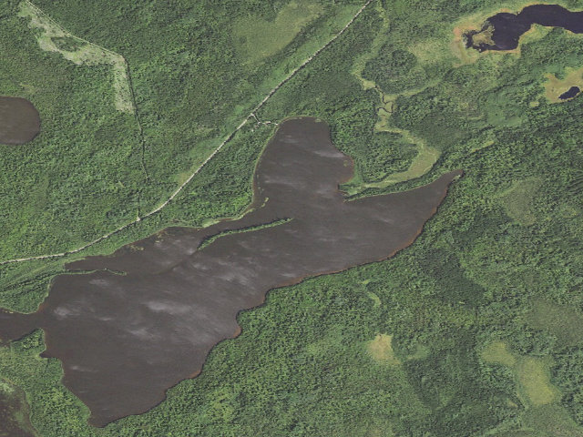 Aerial image of Fourmile Lake Site #3