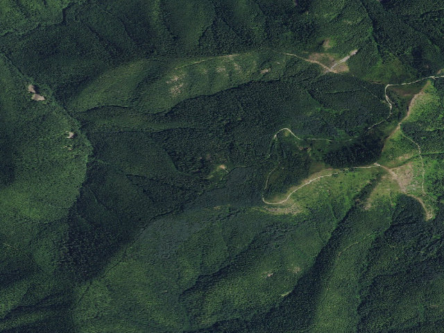 Aerial image of Fourth of July Camp