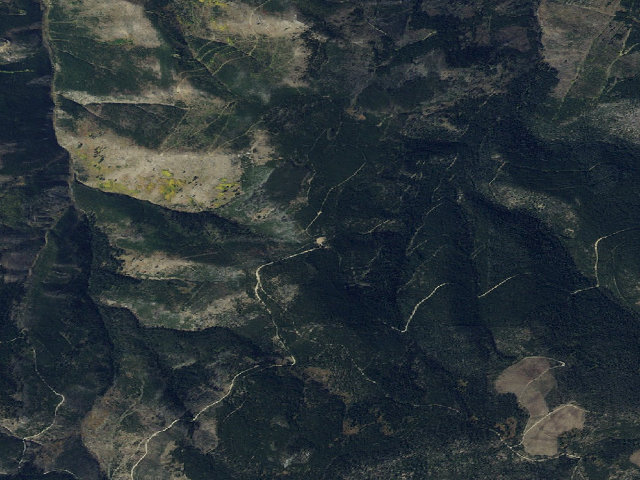 Aerial image of Fr3138-09 Wilson Ck Loop Trlhd