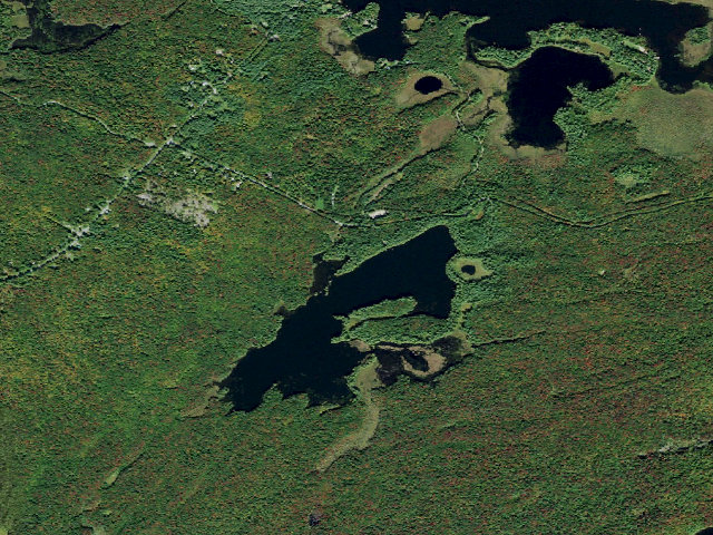 Aerial image of Francis Lake Campsite 1 (Independence River Wild Forest)