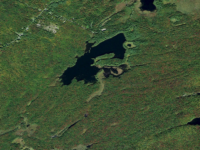 Aerial image of Francis Lake Campsite 2 (Independence River Wild Forest)