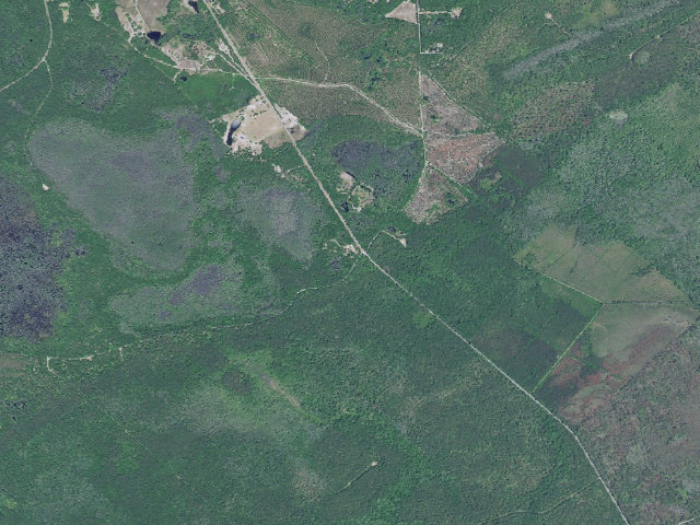 Aerial image of Francis Marion National Forest