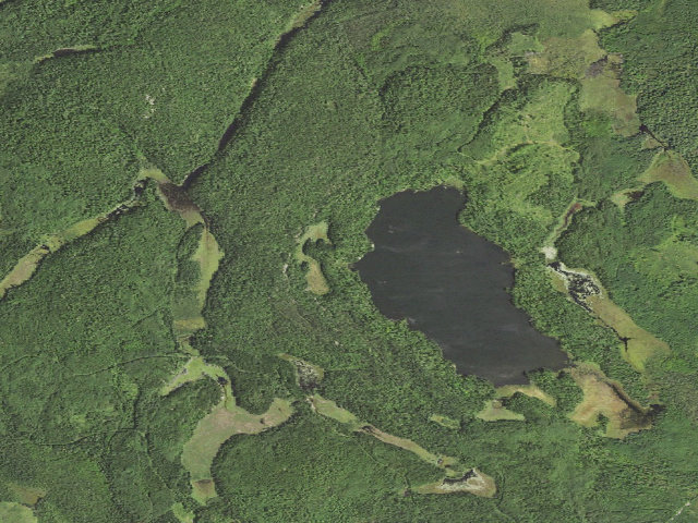 Aerial image of Franklin Lake Site 2