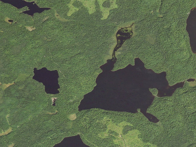 Aerial image of Frear Lake Site 1