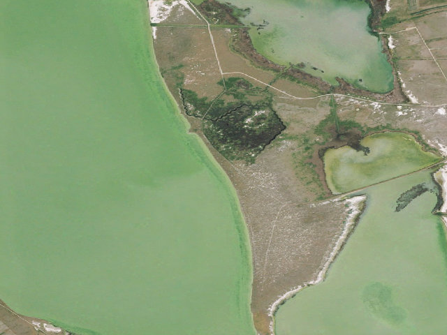 Aerial image of Freezout Lake WMA