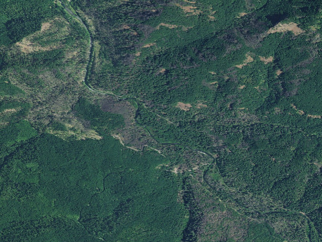 Aerial image of French Pete Campground