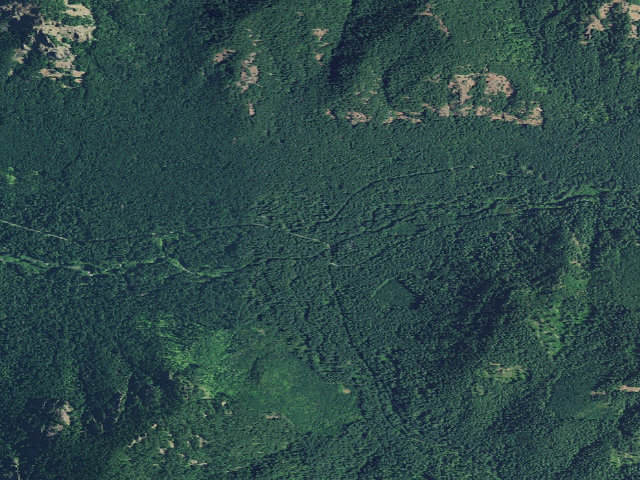 Aerial image of Frissell Crossing Campground