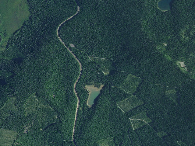 Aerial image of Frog Lake