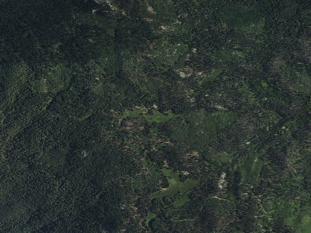 Aerial image of Frog Meadow