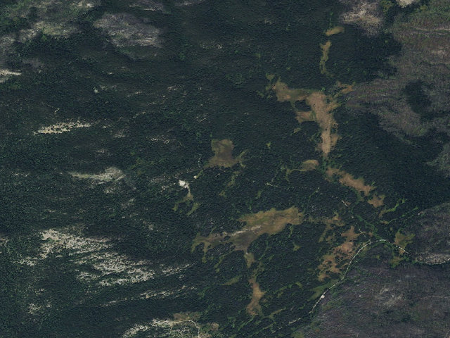 Aerial image of Frogpond Basin Rd-001