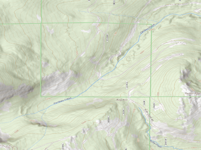 USGS topographic map of Fs Road 1007