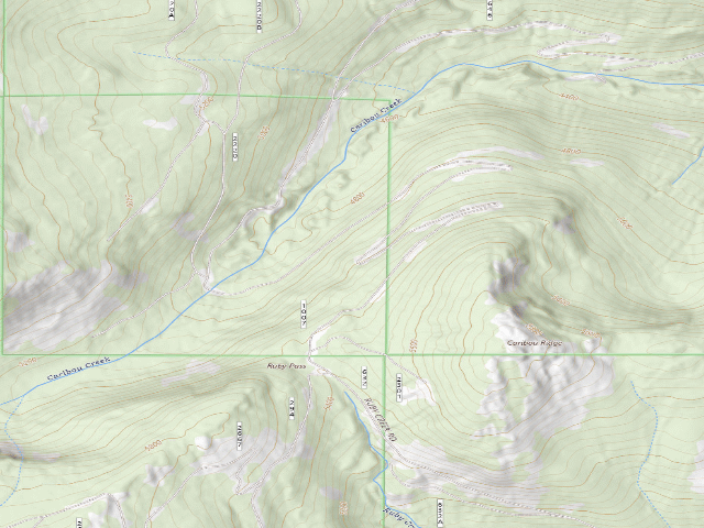 USGS topographic map of Fs Road 1007