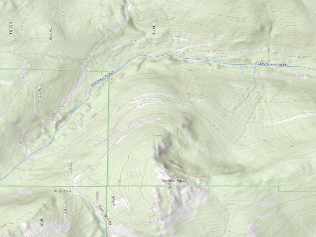 USGS topographic map of Fs Road 1007
