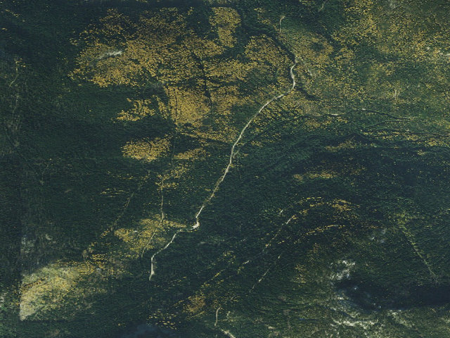 Aerial image of Fs Road 1007