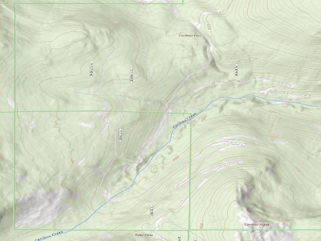USGS topographic map of Fs Road 1007