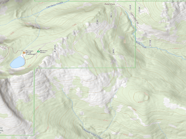 USGS topographic map of Fs Road 2667 Spur (@ 48.63558, -116.56086)