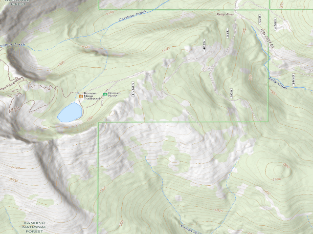 USGS topographic map of Fs Road 2667 Spur (@ 48.63558, -116.56086)