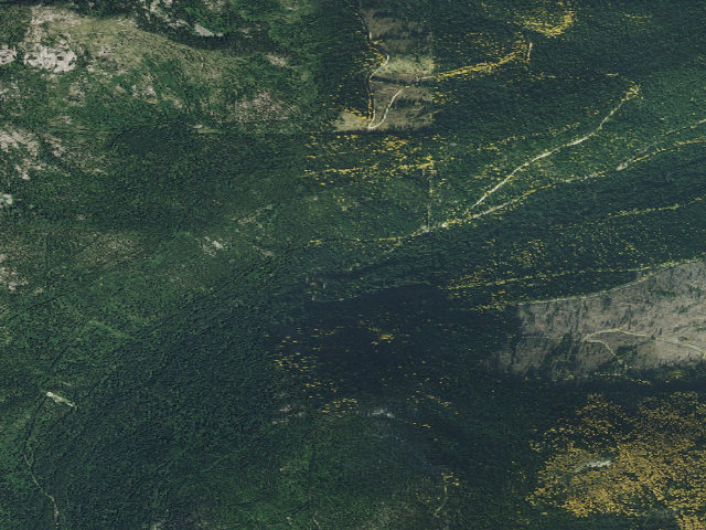 Aerial image of Fs Road 402