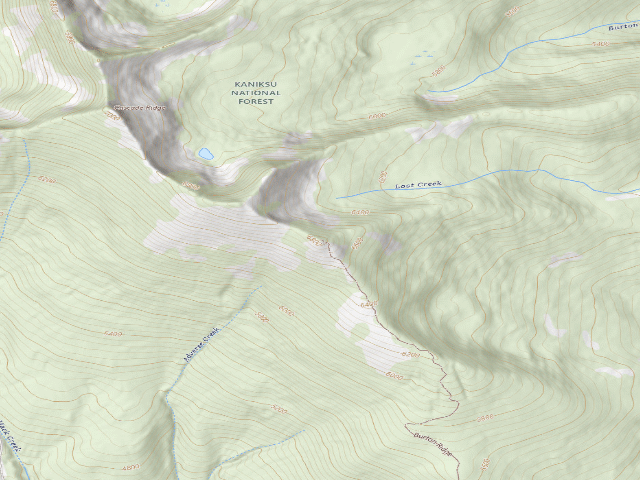 USGS topographic map of Fs Trail 9 (Burton Peak Access)
